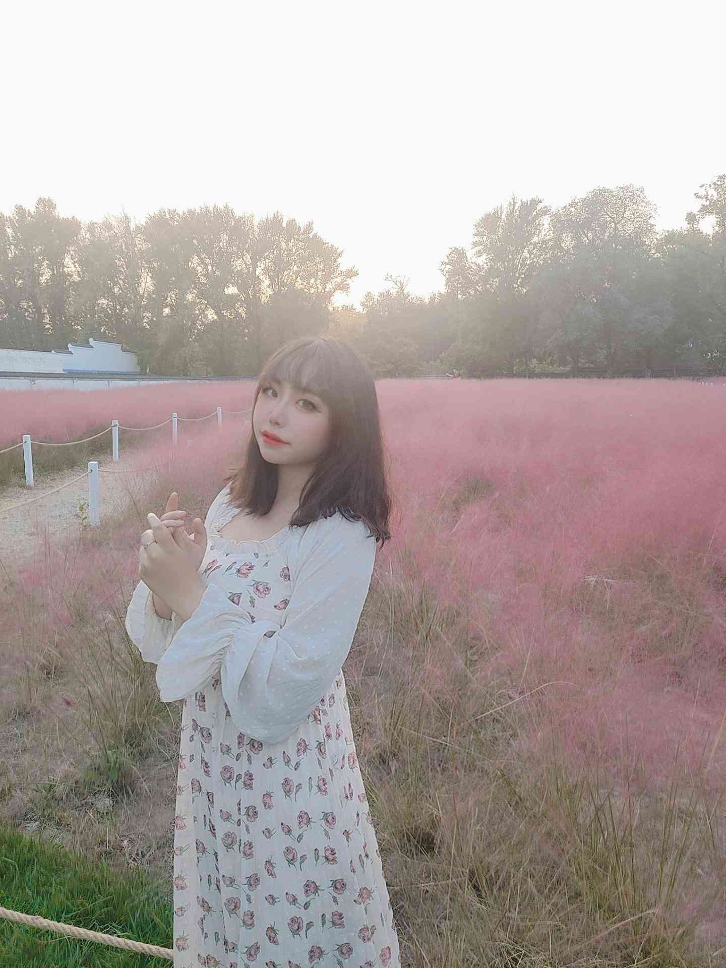 穆零Mu0粉草