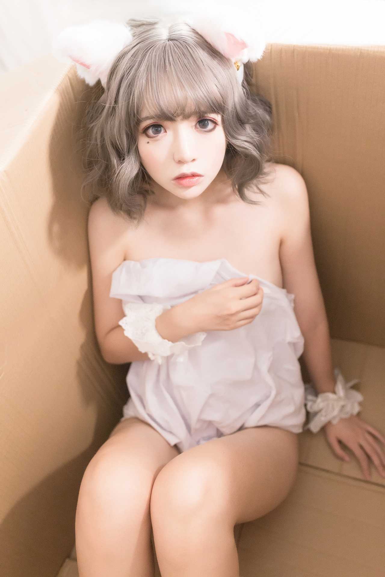 NO.031疯猫ss白猫作品欣赏【30P】-可宝主