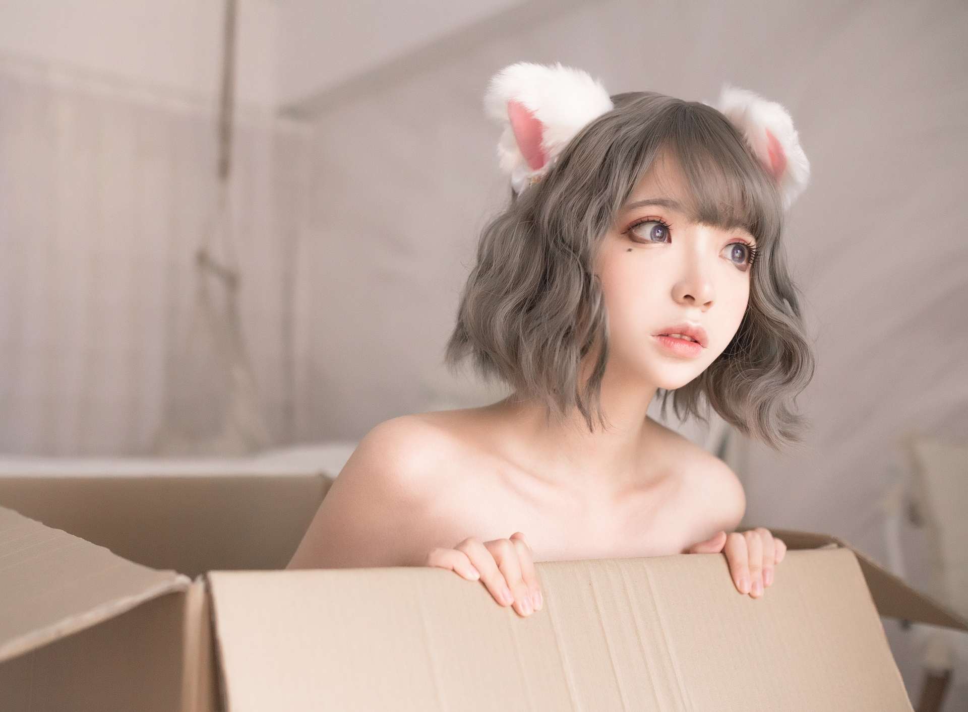 疯猫ss白猫