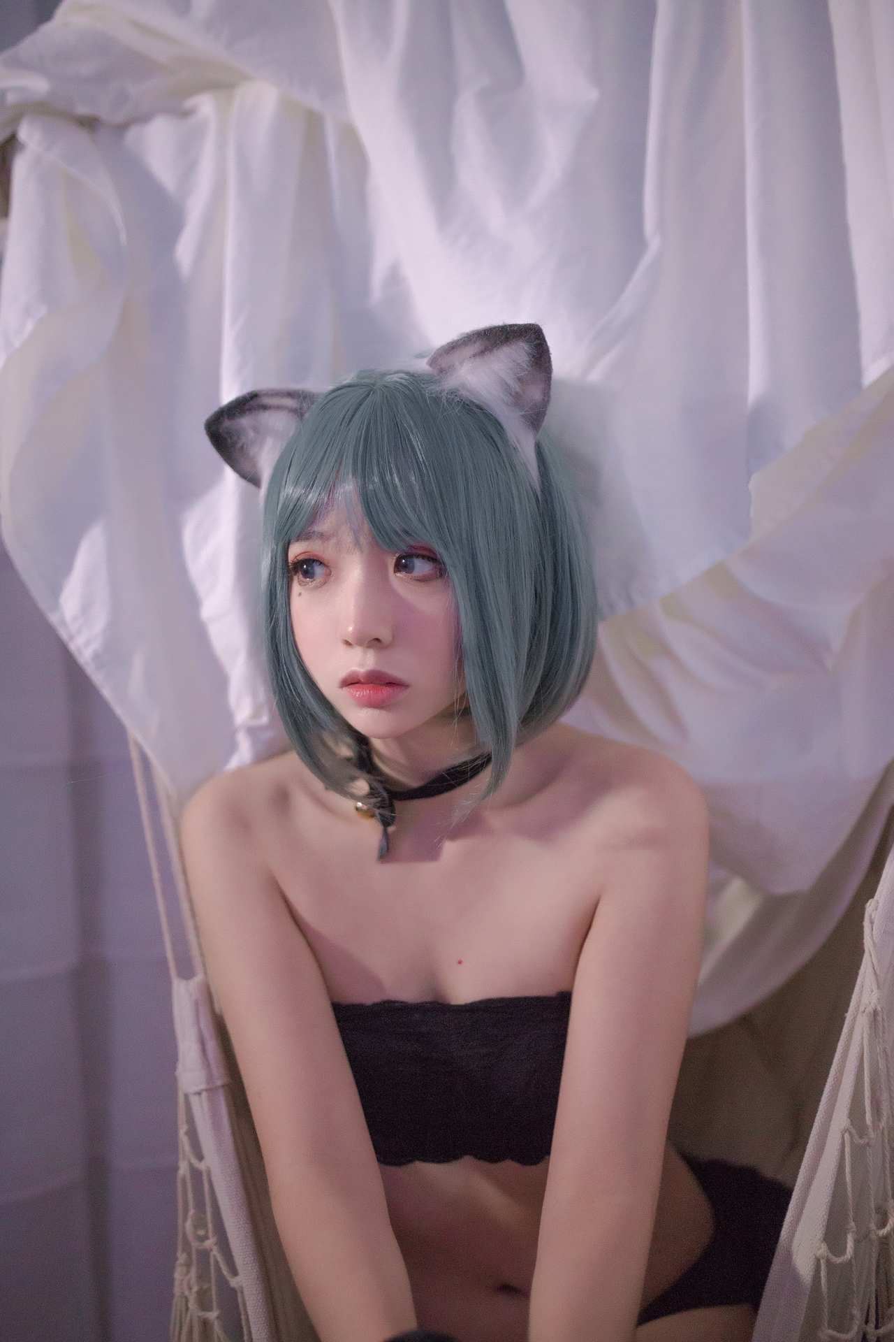 疯猫ss黑猫