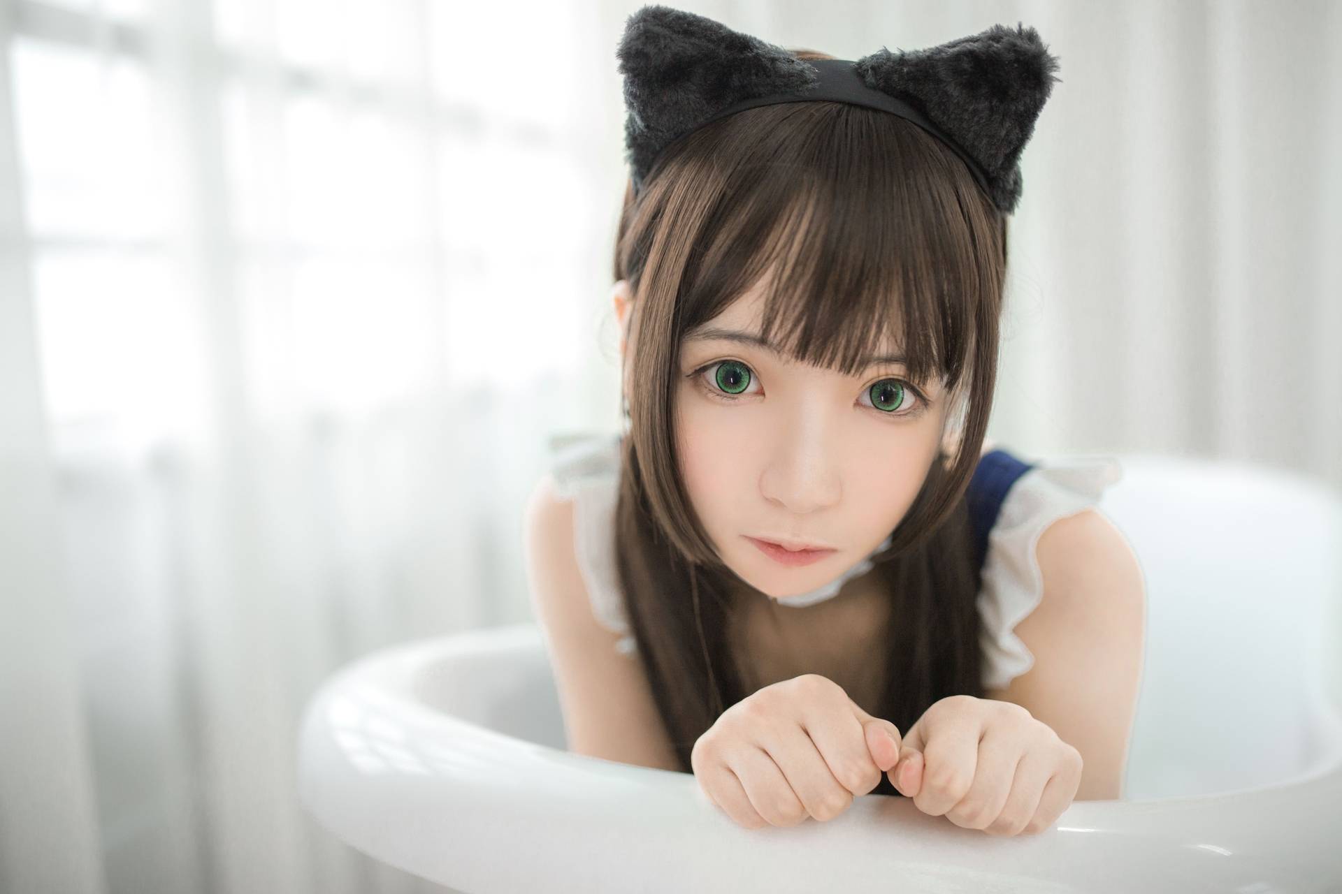 疯猫ss猫死库水