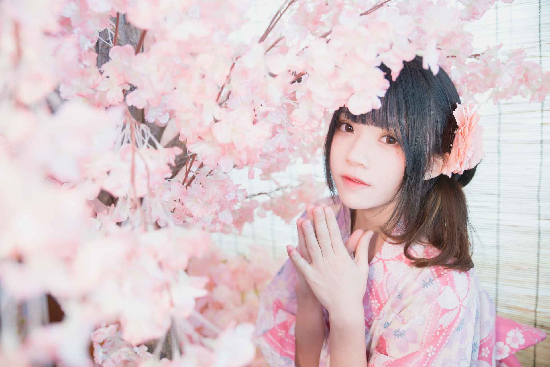 桜桃喵双人本
