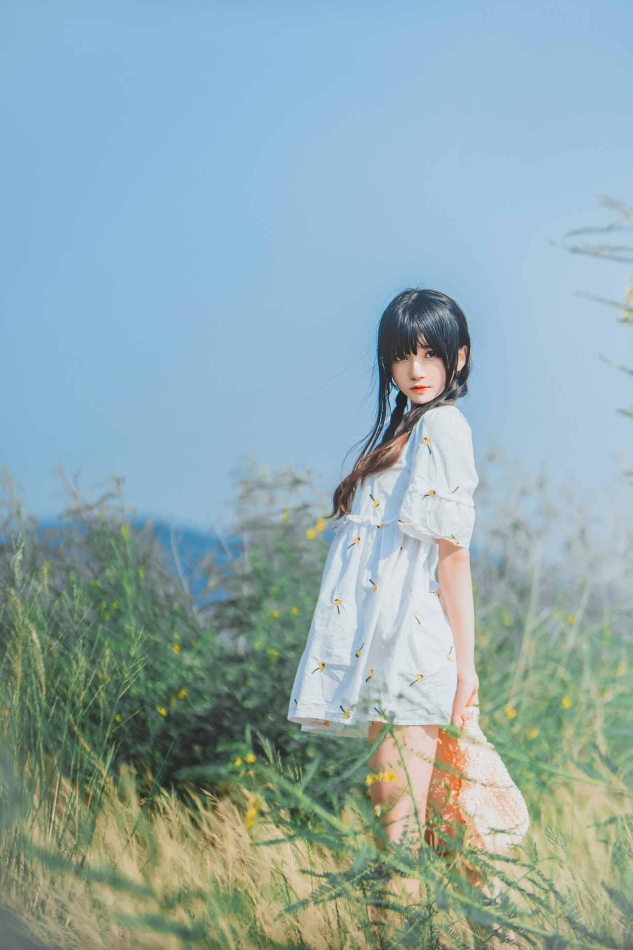 桜桃喵田野