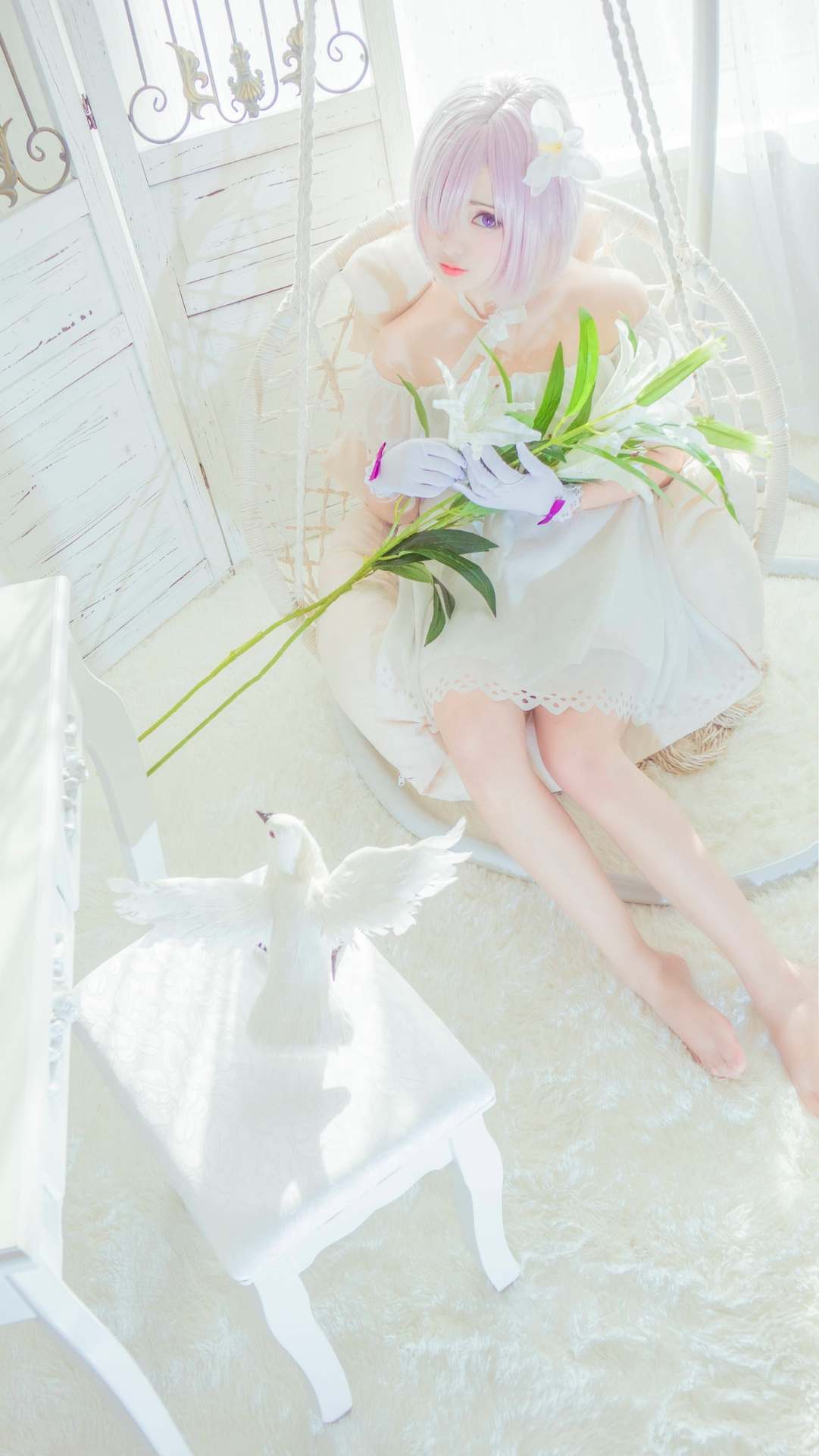 斯文文文文FATEGRAND ORDER COS 御姐