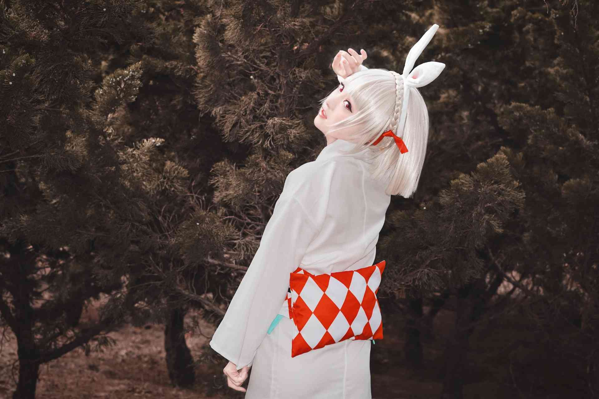 斯文文文文阴阳师手游山兔