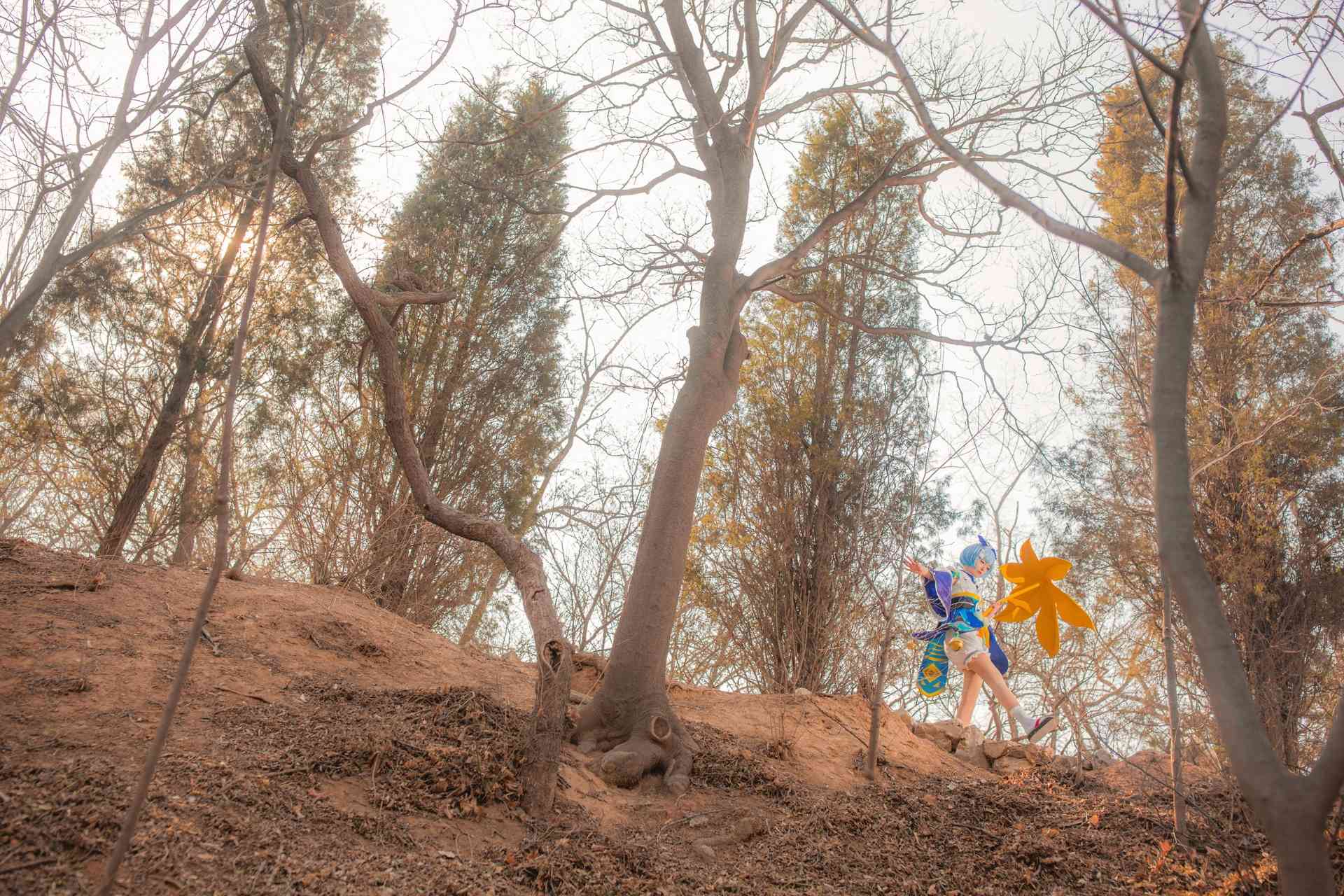 斯文文文文阴阳师手游游戏日系和风萤草