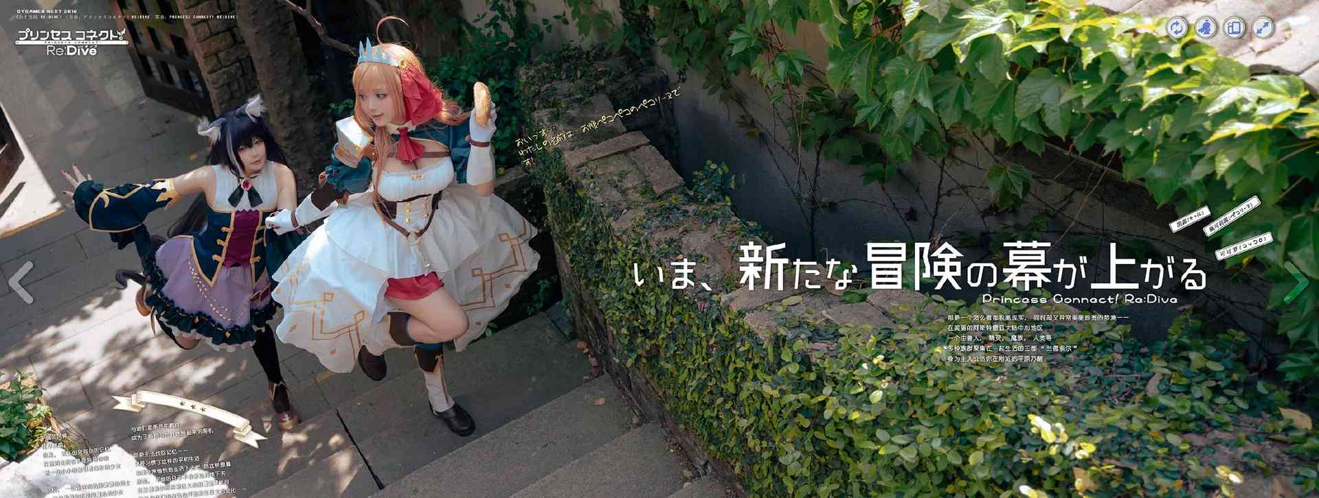 NO.037枣糕-下野病弃疗公主连结【18P】-可宝主