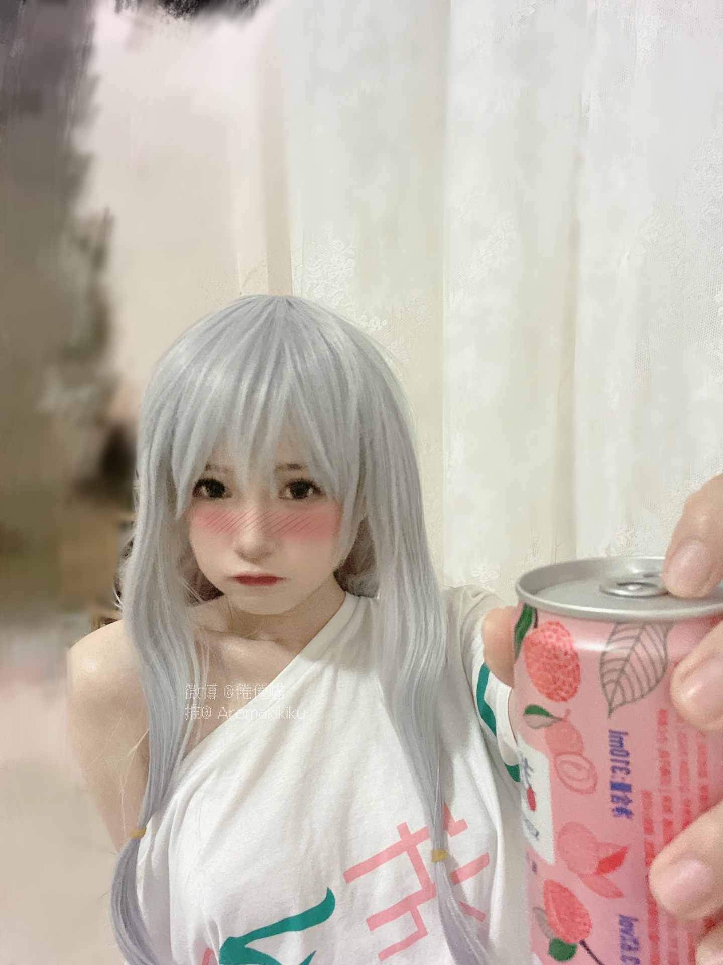 倦倦喵埃罗芒阿