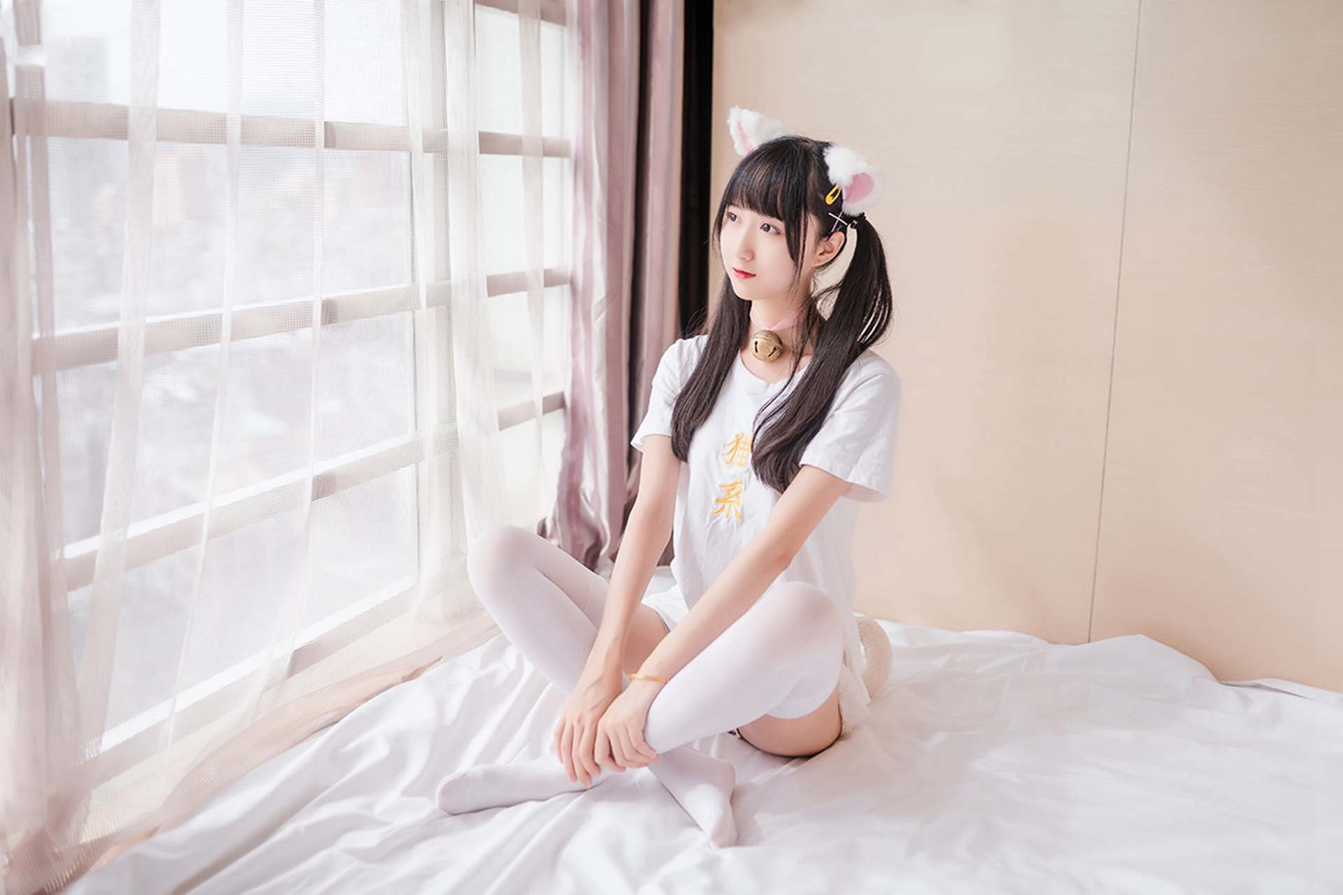 风之领域猫系女友