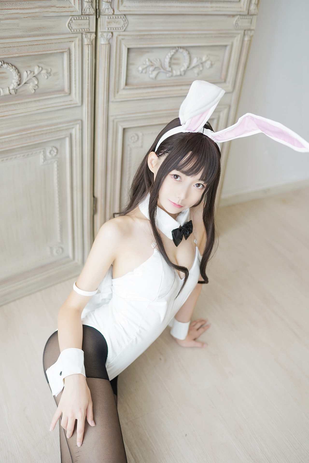 风之领域兔女郎 白兔