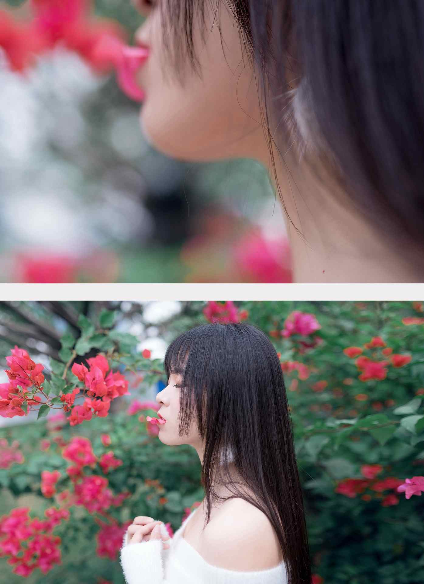 风之领域香肩上的花瓣