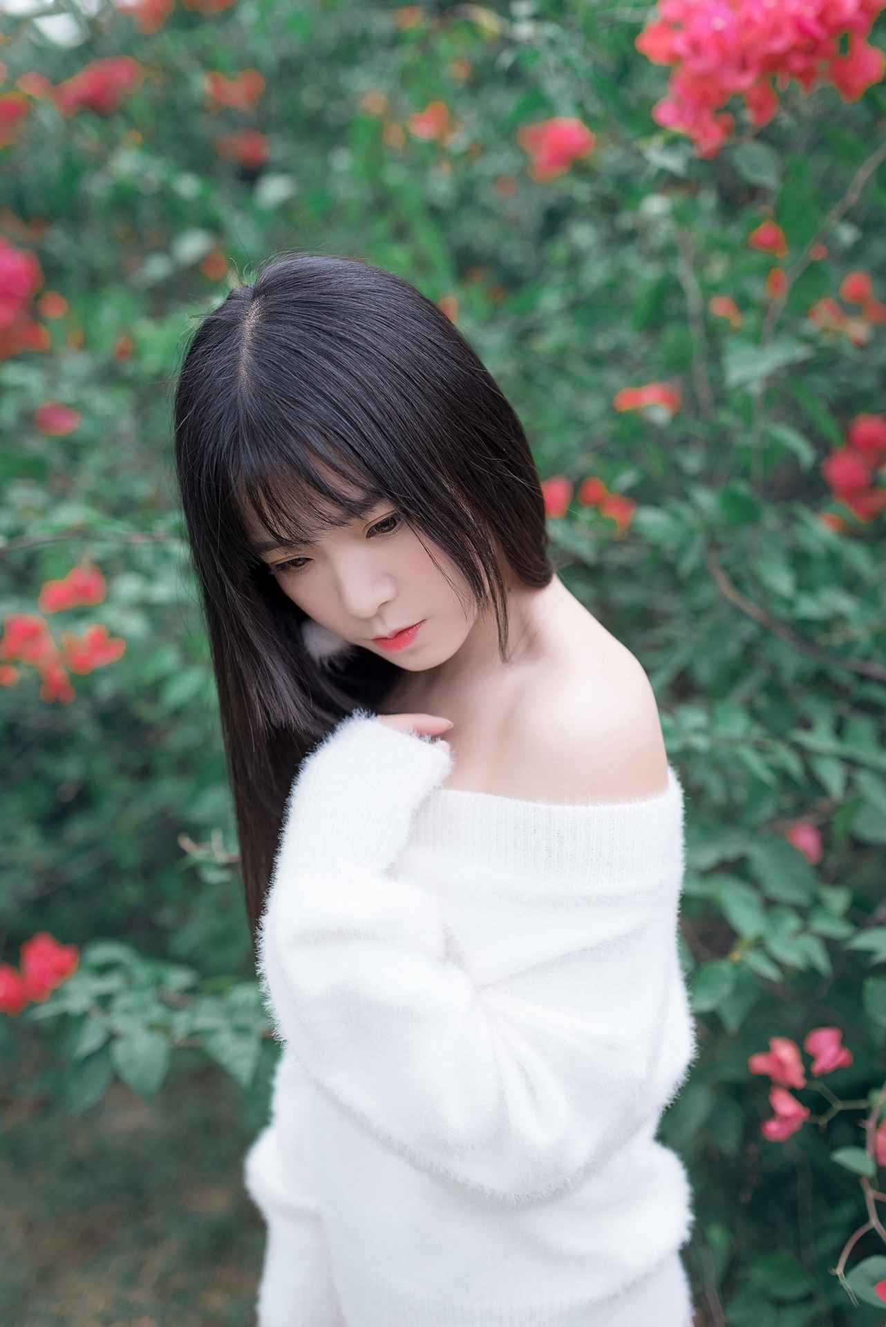 风之领域香肩上的花瓣