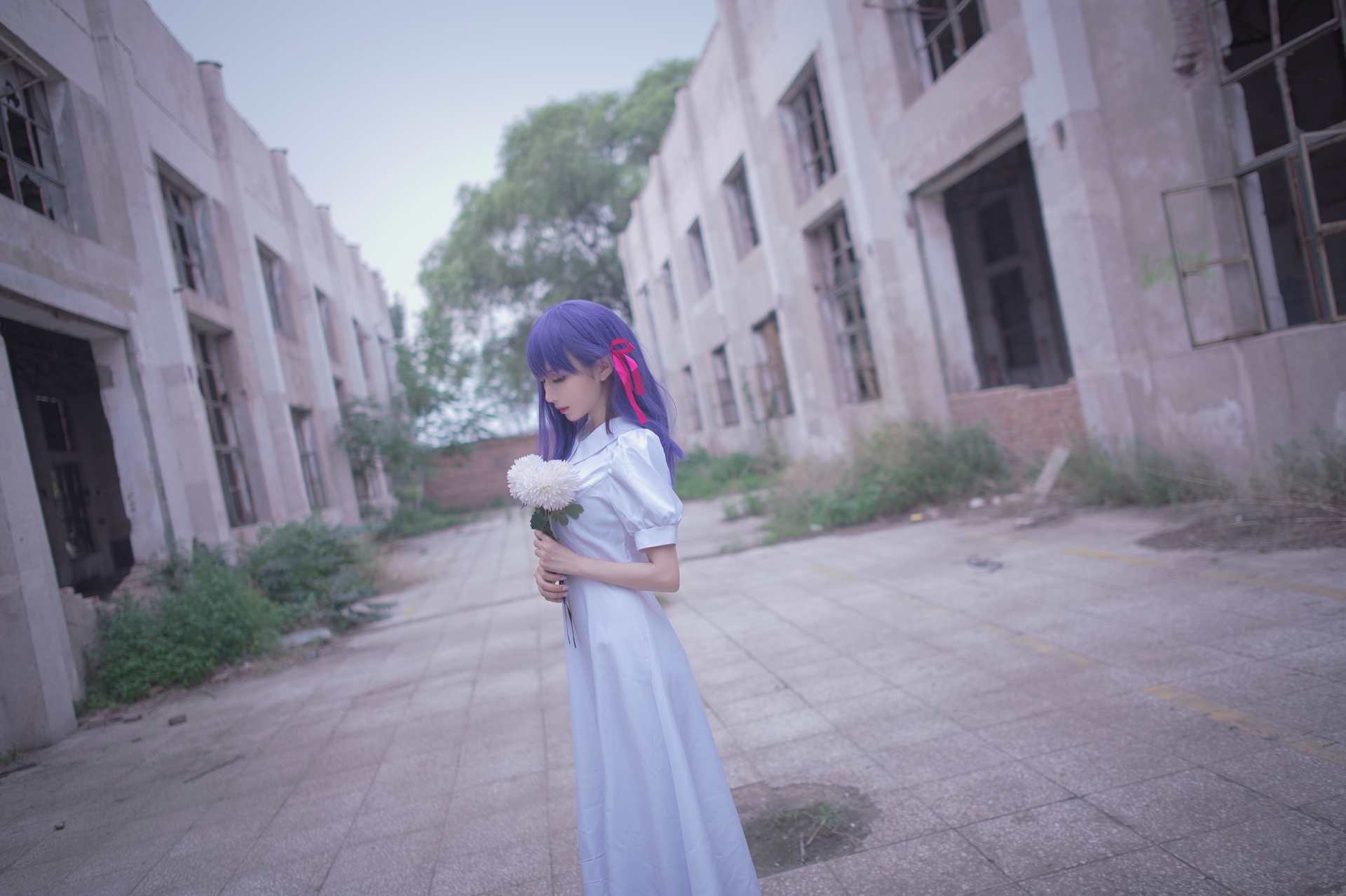 NO.021 Shika小鹿鹿间桐樱hf美丽写真【15P】-可宝主