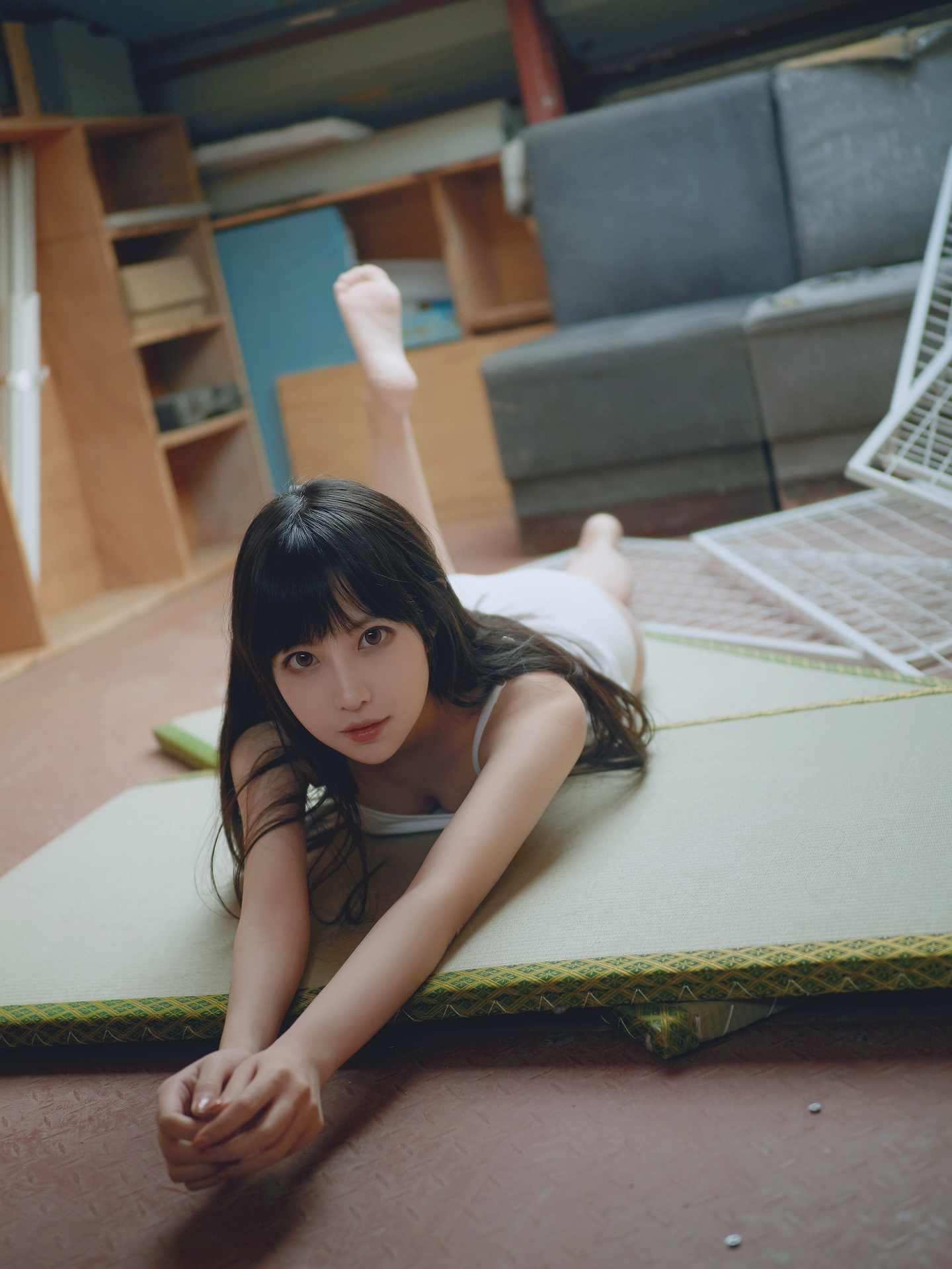 Shika小鹿鹿羽鸟